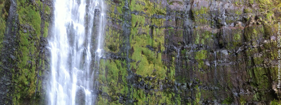 Road To Hana Car Sickness Maui Information Guide