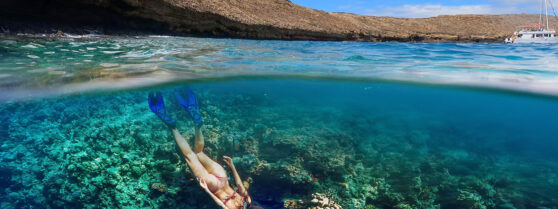 Molokini below and above