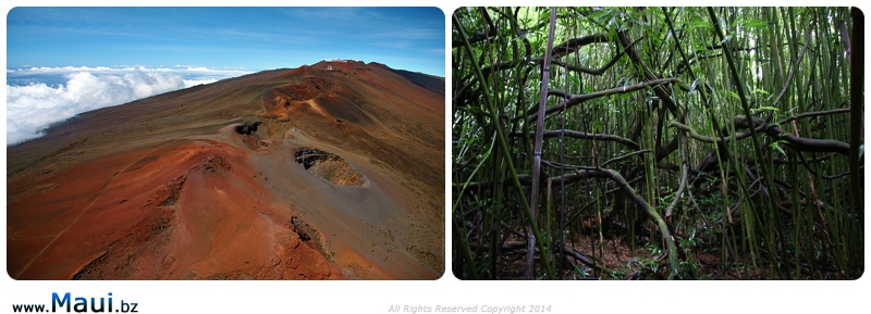 Backpacking on Maui