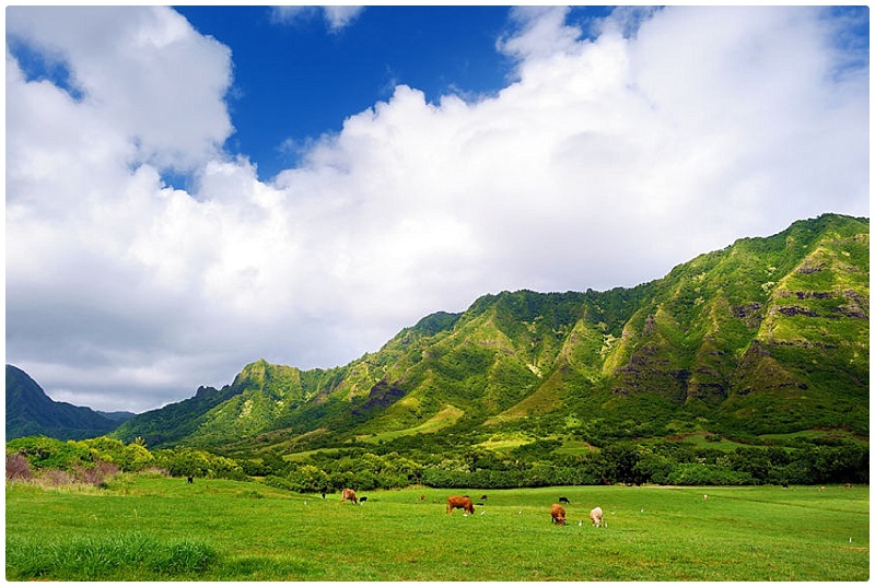 top rated activities oahu