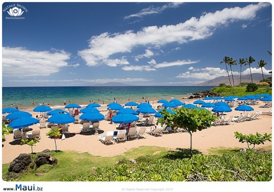 9 Reasons to Avoid Maui in the Winter - Maui Information Guide