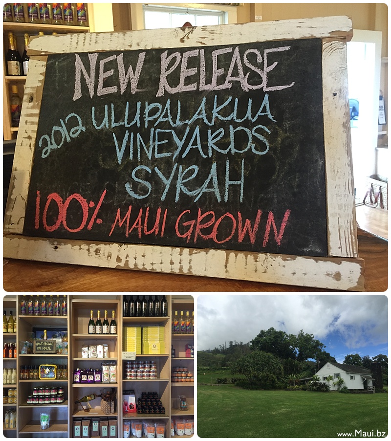 Maui's Winery