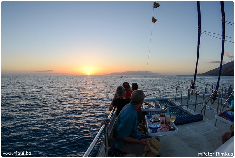 maui sunset boat tours