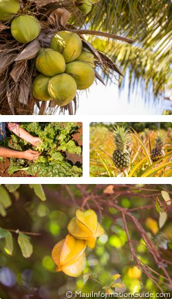 Hawaiian produce