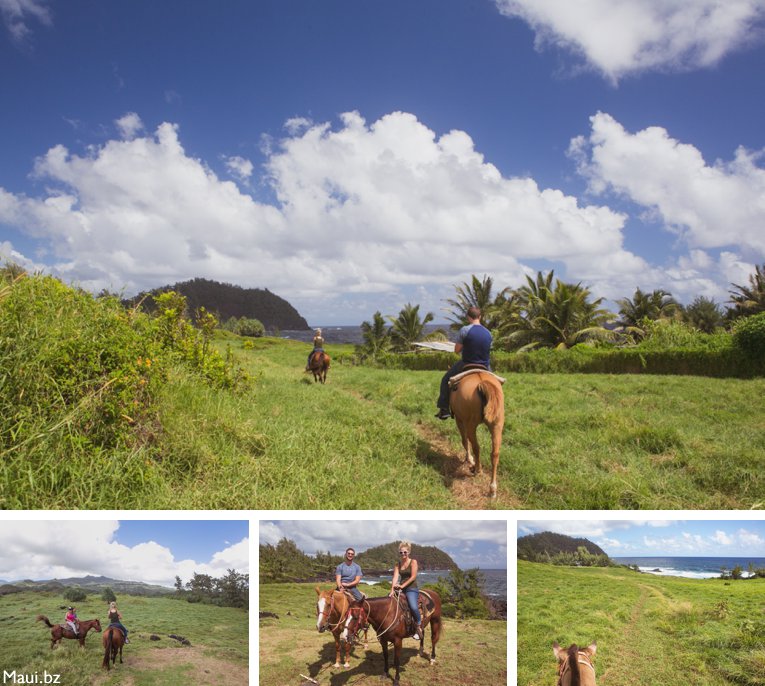 horseback in Maui Hawaii