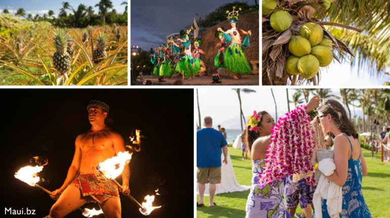 Hawaii Culture