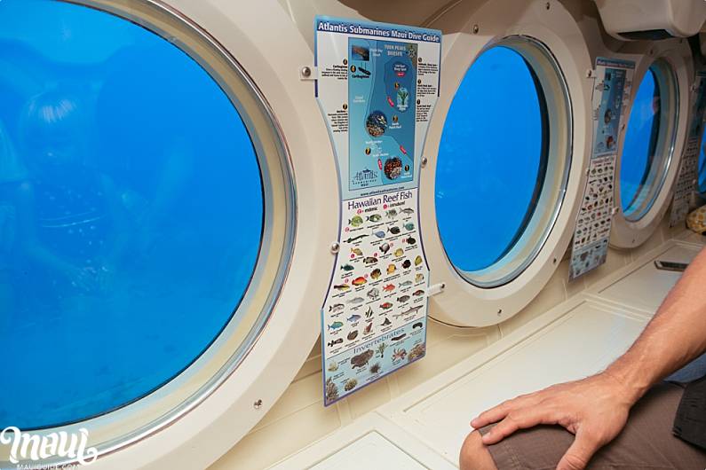 Atlantis Submarine Viewing Portal