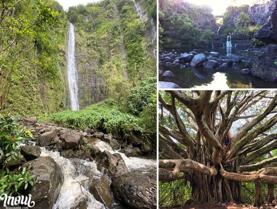 Haleakala National Park Maui - Map, Photos, and Hawaii Information