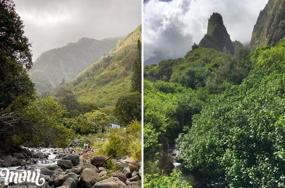 Iao Valley - Map, Photos and Maui Information | Needle, Stream, History