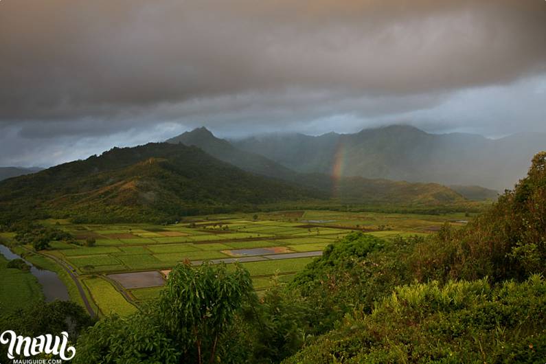 Lawai Valley Kauai