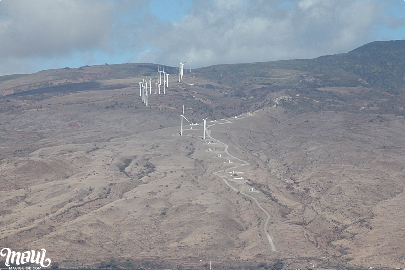Maalaea Windmills