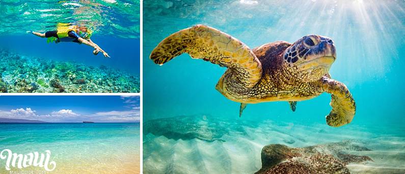 Best Maui Actitivities Snorkeling