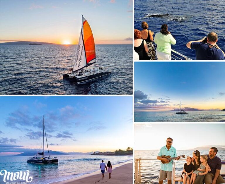 maui-sunset-dinner-cruises-best-hawaii-cocktail-and-whale-cruise