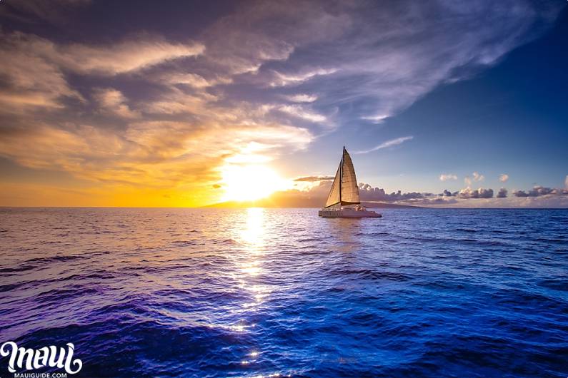 Maui Sunset Dinner Cruises | Best Hawaii Cocktail and Whale Cruise