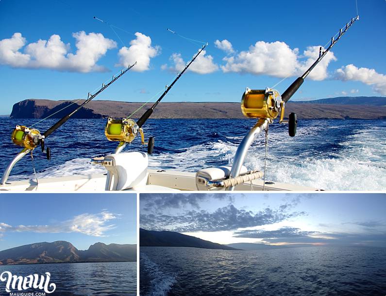Maui Fishing Sights