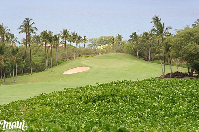 Maui Golfing Courses Wailea