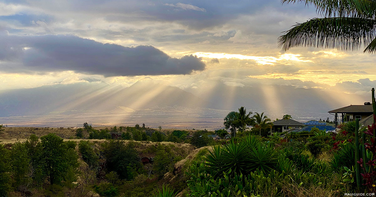 Pukalani Maui - Map, Photos and Hawaii Information | Upcountry