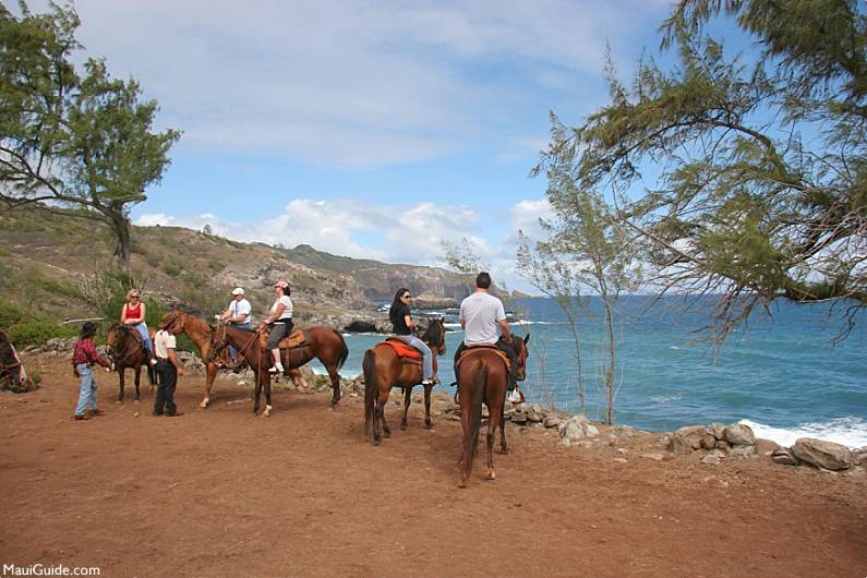 Best Maui Guide Websites Horseback