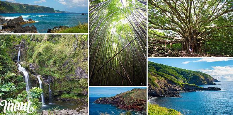 Maui Guided Tours Sights