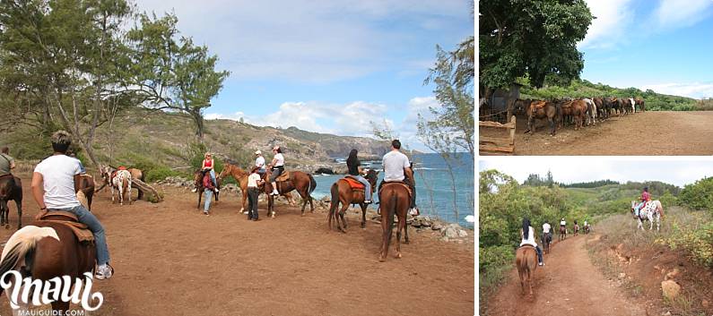 Maui Horseback Tours Mendez Ranch
