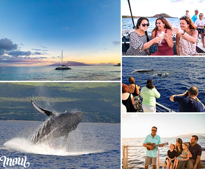 Maui Sailing Sunset and Whales