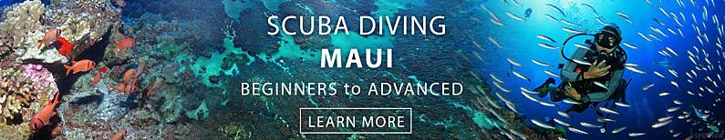 Maui Scuba Diving Banner