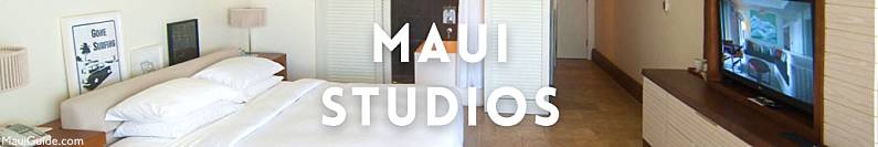 Maui Studios