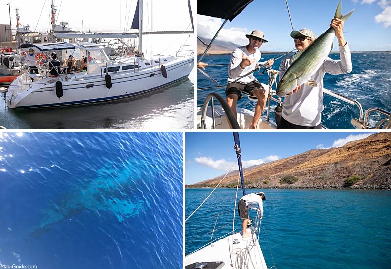Maui Whale Watch Tours NOVA