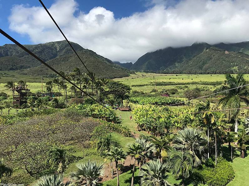 Maui Zipline View