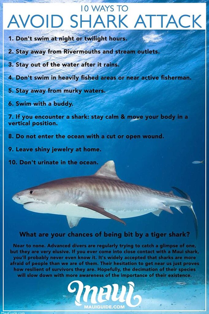 Avoid Shark Attacks