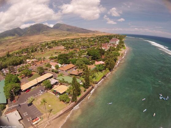 Taste of Lahaina - Taste of Lahaina Information and Recommendations