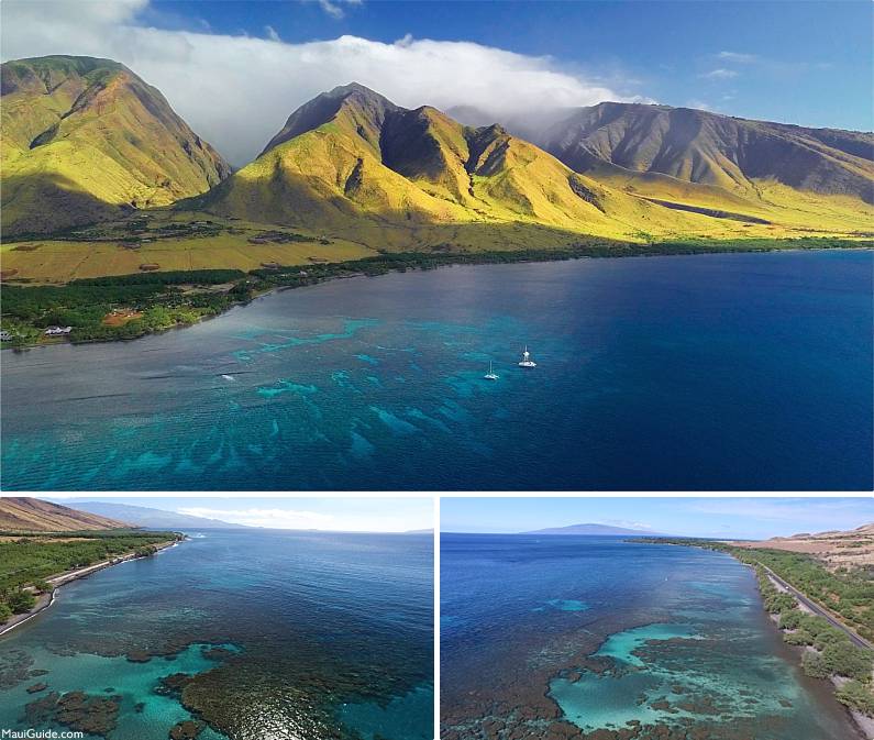 West Maui Scuba Diving Olowalu