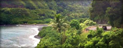 Maui activities land
