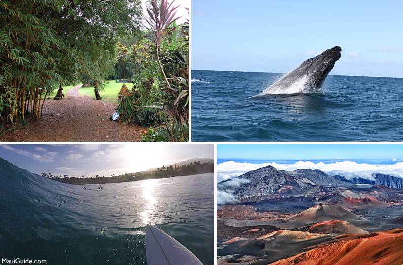 Free Maui Activities Hike Haleakala Whales