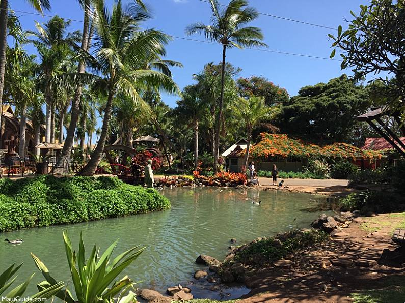 Free Maui Activities Tropical Plantation