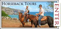 Maui Horseback Tours