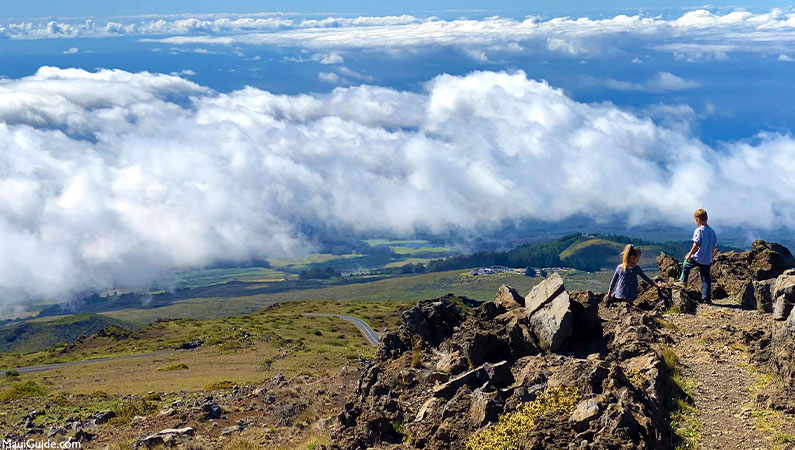 Maui Top Views