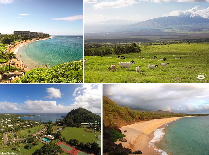 Maui First Trip Regions