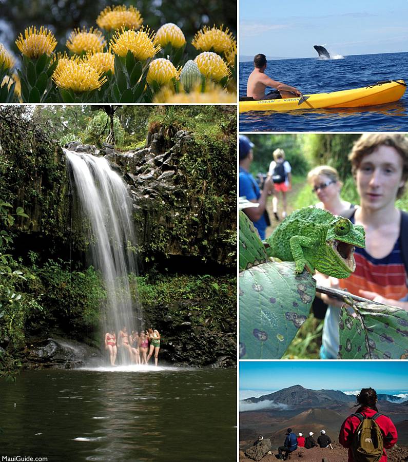 Maui Hiking Experiences