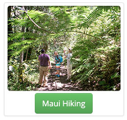 Maui hiking