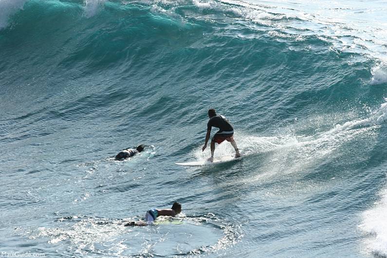 Maui Surfing Dropping In