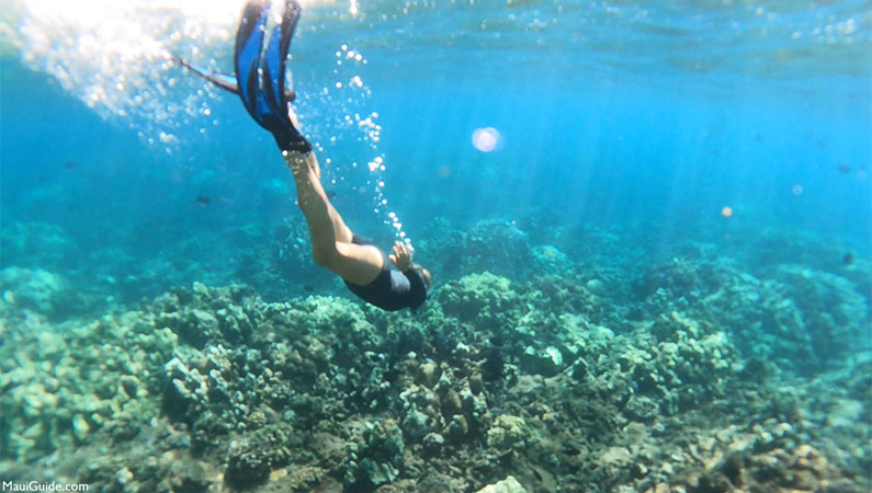 Maui Top Ten Snorkeling