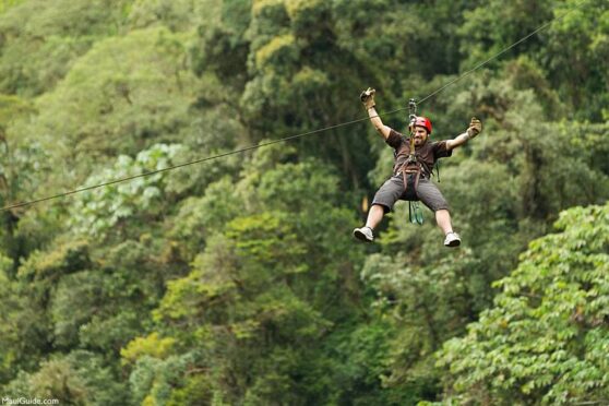 Maui Zipline Tours Ziplining In Hawaii   Maui Zipline Tours Treetops 558x372 