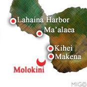 Molokini Spot