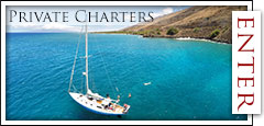 Private Charters