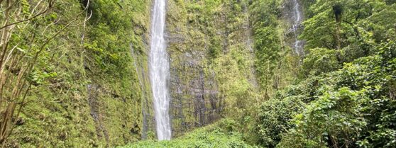 Road to Hana photo