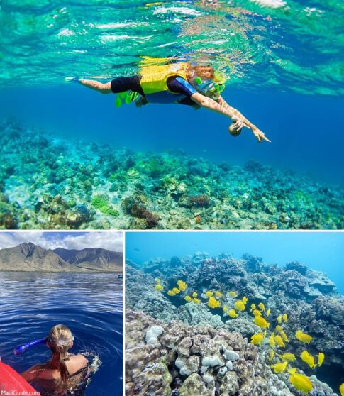 South Maui Snorkel Map | Hawaii Snorkel Map | Molokini Crater