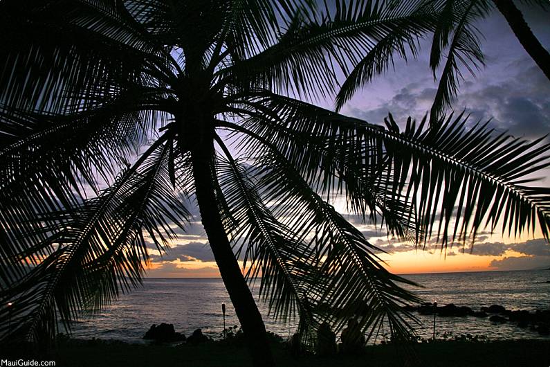 Sunset Hawaii