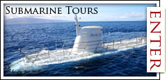 Submarine Tours