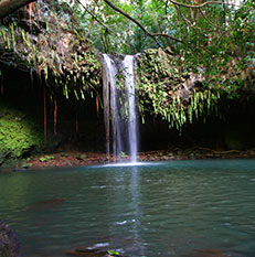 Twin Falls Maui